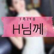 ヒメ日記 2026/01/29 23:19 投稿 和歌（わか） エスペランサ新館