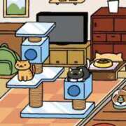 ヒメ日記 2026/03/24 20:19 投稿 和歌（わか） エスペランサ新館