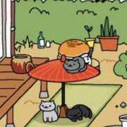 ヒメ日記 2026/04/10 08:49 投稿 和歌（わか） エスペランサ新館