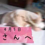 ヒメ日記 2026/04/29 17:22 投稿 和歌（わか） エスペランサ新館