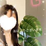 ヒメ日記 2025/03/22 10:31 投稿 浜松ゆうひ ワイフコレクション