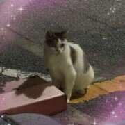 ヒメ日記 2025/07/30 23:13 投稿 なぎさ 若妻淫乱倶楽部　越谷店