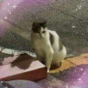 ヒメ日記 2025/08/31 12:00 投稿 なぎさ 若妻淫乱倶楽部　越谷店