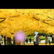 ヒメ日記 2025/11/20 15:29 投稿 なぎさ 若妻淫乱倶楽部　越谷店