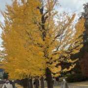 ヒメ日記 2025/12/02 20:14 投稿 なぎさ 若妻淫乱倶楽部　越谷店