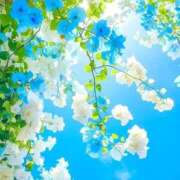 ヒメ日記 2026/03/14 11:27 投稿 なぎさ 若妻淫乱倶楽部　越谷店