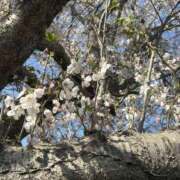 ヒメ日記 2026/04/06 12:45 投稿 なぎさ 若妻淫乱倶楽部　越谷店