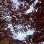 ヒメ日記 2025/11/18 19:02 投稿 なぎさ 若妻淫乱倶楽部