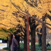 ヒメ日記 2025/11/30 14:00 投稿 なぎさ 若妻淫乱倶楽部