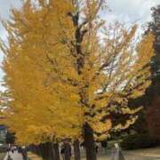 ヒメ日記 2025/12/02 20:22 投稿 なぎさ 若妻淫乱倶楽部