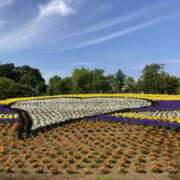 ヒメ日記 2025/12/03 09:00 投稿 なぎさ 若妻淫乱倶楽部