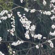 ヒメ日記 2026/03/17 22:20 投稿 なぎさ 若妻淫乱倶楽部