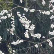 ヒメ日記 2026/03/17 22:27 投稿 なぎさ 若妻淫乱倶楽部