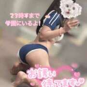 ヒメ日記 2025/03/12 18:18 投稿 めぐ ていくぷらいど.学園