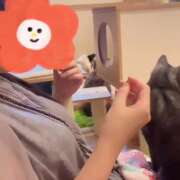 ヒメ日記 2025/06/25 11:35 投稿 めぐ ていくぷらいど.学園