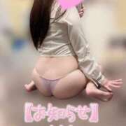 ヒメ日記 2025/06/26 07:30 投稿 めぐ ていくぷらいど.学園