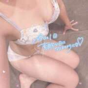 ヒメ日記 2025/08/20 13:44 投稿 めぐ ていくぷらいど.学園