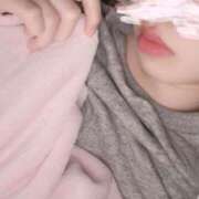 ヒメ日記 2025/11/13 07:30 投稿 めぐ ていくぷらいど.学園