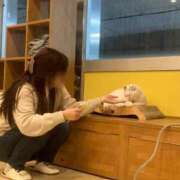 ヒメ日記 2026/01/17 18:13 投稿 めぐ ていくぷらいど.学園