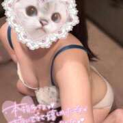 ヒメ日記 2026/01/17 22:05 投稿 めぐ ていくぷらいど.学園