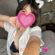 ヒメ日記 2025/03/25 12:22 投稿 雛森なつみ 蒲田ウルトラギャラクシー