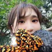 ヒメ日記 2025/09/21 13:03 投稿 雛森なつみ 蒲田ウルトラギャラクシー