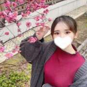 ヒメ日記 2026/03/02 16:52 投稿 雛森なつみ 蒲田ウルトラギャラクシー