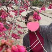 ヒメ日記 2026/03/31 07:57 投稿 雛森なつみ 蒲田ウルトラギャラクシー