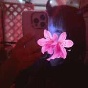 ヒメ日記 2025/10/17 00:21 投稿 みみ『ぽっちゃりコース』 素人学園＠