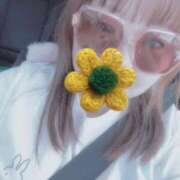 ヒメ日記 2025/10/24 16:33 投稿 みみ『ぽっちゃりコース』 素人学園＠