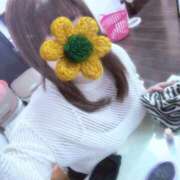 ヒメ日記 2025/10/28 04:03 投稿 みみ『ぽっちゃりコース』 素人学園＠