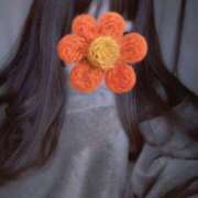 ヒメ日記 2025/11/06 02:18 投稿 みみ『ぽっちゃりコース』 素人学園＠