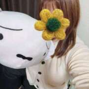 ヒメ日記 2025/11/08 12:06 投稿 みみ『ぽっちゃりコース』 素人学園＠