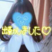 ヒメ日記 2025/11/27 16:18 投稿 みみ『ぽっちゃりコース』 素人学園＠