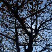 ヒメ日記 2026/01/29 08:27 投稿 みみ『ぽっちゃりコース』 素人学園＠