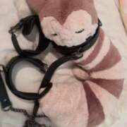 ヒメ日記 2025/03/07 15:46 投稿 さくらこ 変態なんでも鑑定団