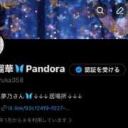 ヒメ日記 2026/01/02 18:15 投稿 夢乃 パンドラ（吉原）