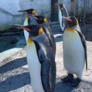 ヒメ日記 2025/01/16 22:33 投稿 えりか 熟女の風俗最終章 蒲田店