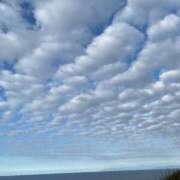 ヒメ日記 2026/03/31 10:30 投稿 しろ 黒い金魚（札幌）