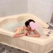 ヒメ日記 2025/03/19 09:32 投稿 琴(こと) DAHLIA(ダリア)