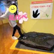 ヒメ日記 2025/05/01 08:29 投稿 琴(こと) DAHLIA(ダリア)