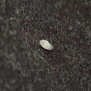 ヒメ日記 2024/12/22 14:46 投稿 沙咲 昼顔妻 五反田店