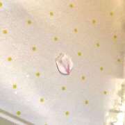 ヒメ日記 2025/04/14 14:36 投稿 沙咲 昼顔妻 五反田店