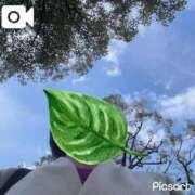 ヒメ日記 2026/03/09 12:26 投稿 沙咲 昼顔妻 五反田店