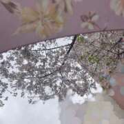 ヒメ日記 2026/04/02 12:06 投稿 沙咲 昼顔妻 五反田店