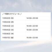 ヒメ日記 2025/11/02 10:26 投稿 ゆめ セピア