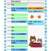 ヒメ日記 2024/12/10 11:04 投稿 片岡 琴音 昼妻夜 滋賀店