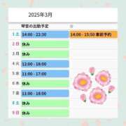 ヒメ日記 2025/03/01 11:33 投稿 片岡 琴音 昼妻夜 滋賀店