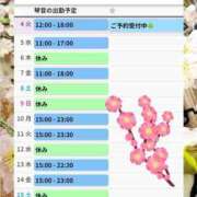 ヒメ日記 2025/03/04 09:33 投稿 片岡 琴音 昼妻夜 滋賀店