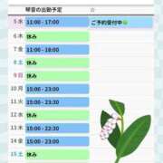 ヒメ日記 2025/03/05 09:33 投稿 片岡 琴音 昼妻夜 滋賀店